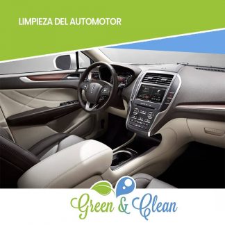 Limpieza Automotor